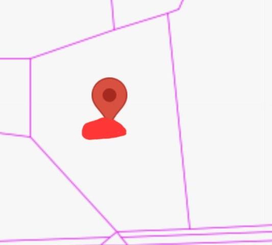 台南新市農地-10
