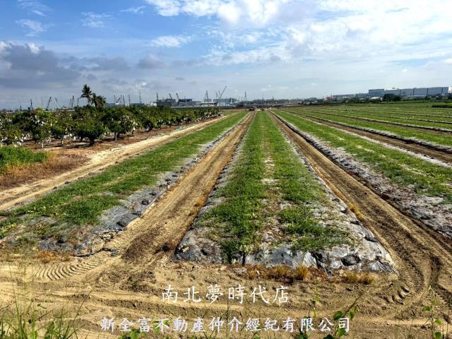 台南新市農地-1