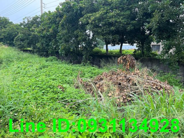 台中外埔農地-2