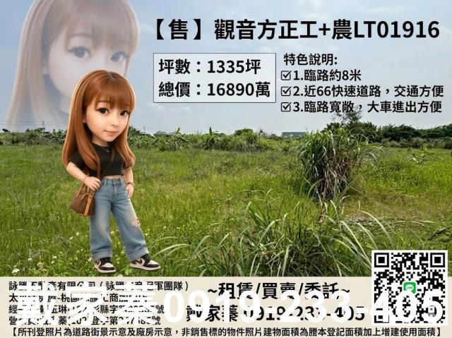 桃園桃園區農地-1