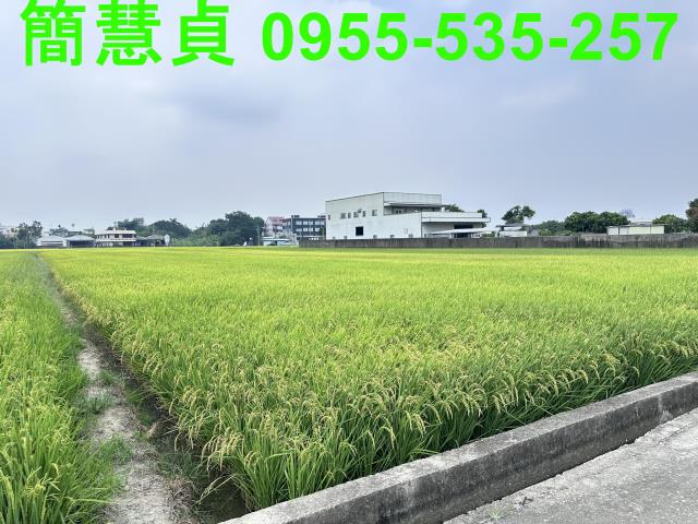 南投草屯農地-5
