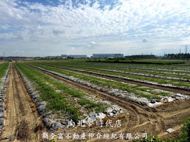 台南新市農地-11