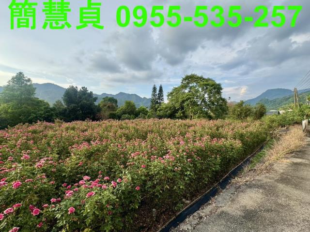 南投草屯建地-2