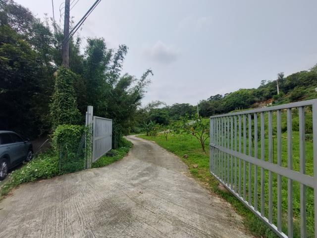 新竹新埔農地-4