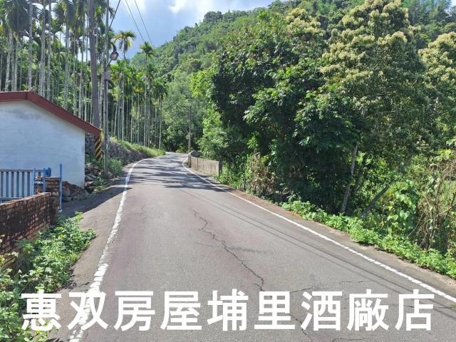 南投埔里農地-1