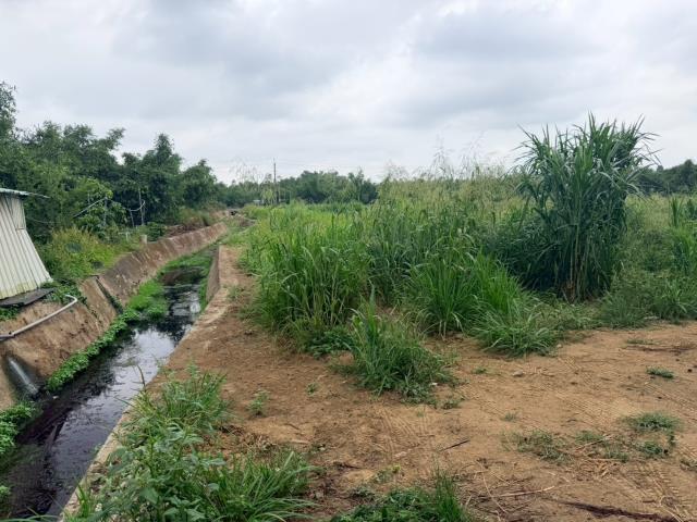 台南關廟農地-1