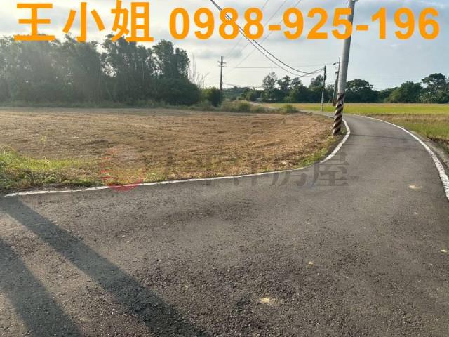 大園農地-5