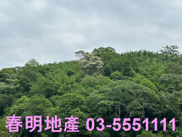 峨眉建地-10