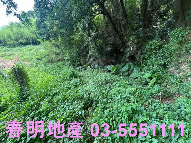 峨眉建地-4