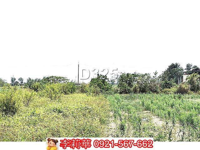 新營農地-8