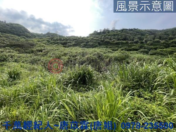 石門農地-4