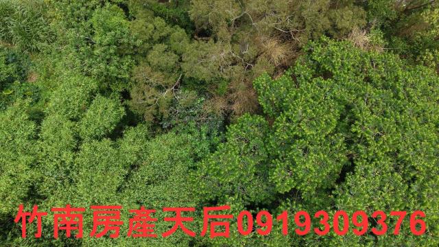 芎林農地-5