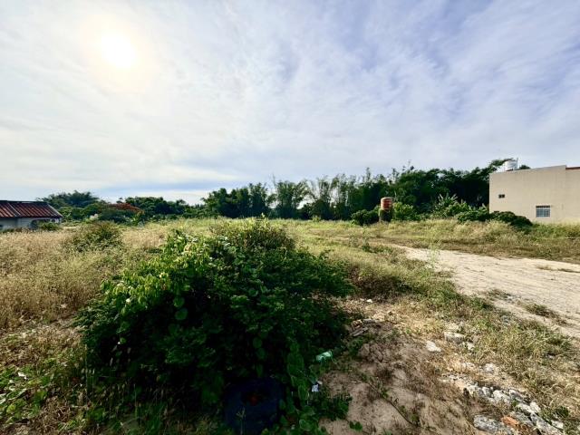 關廟農地-2