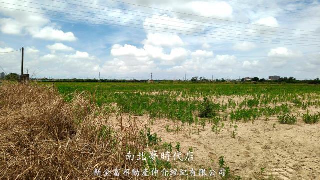 台南農地-6
