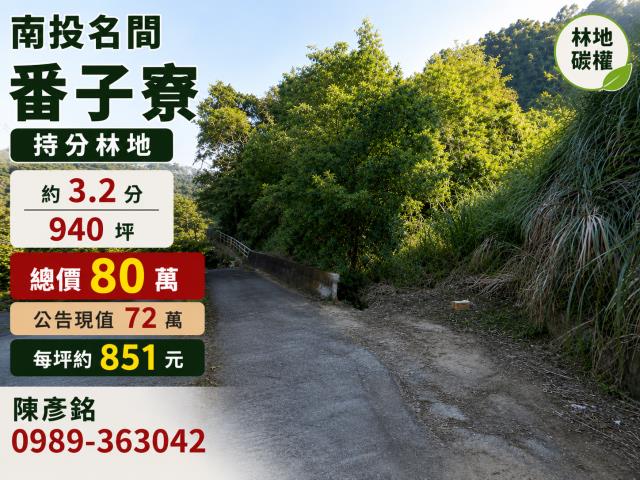 南投名間山坡地-1
