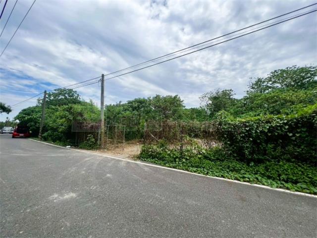 屏東竹田農地-3