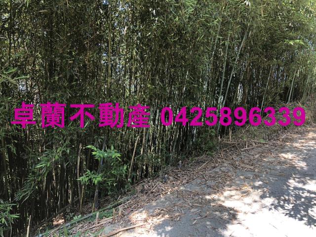 苗栗卓蘭農地-1