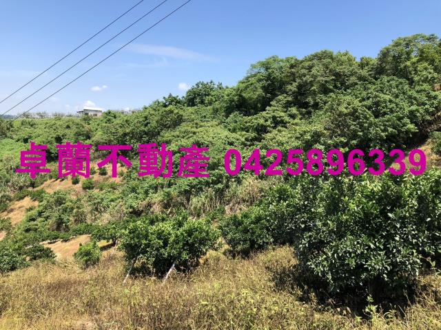 苗栗卓蘭農地-4