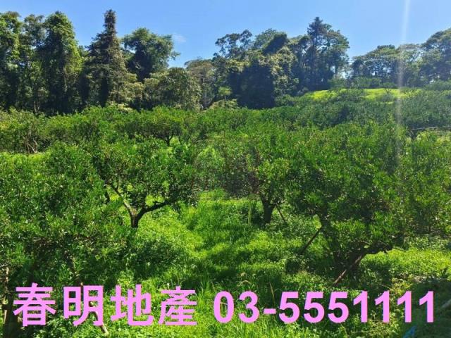 橫山農地-1