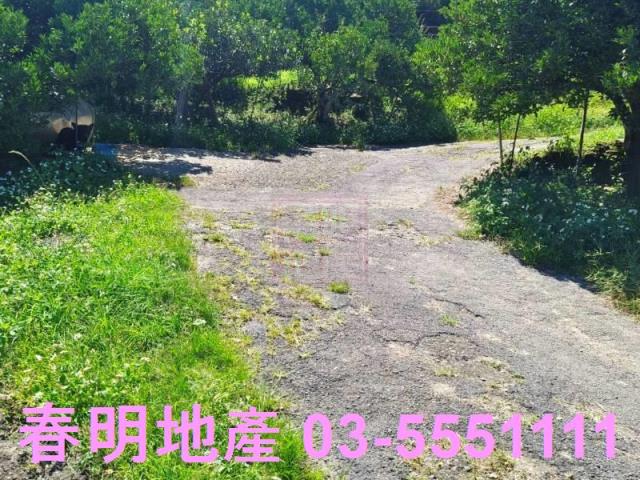 橫山農地-4