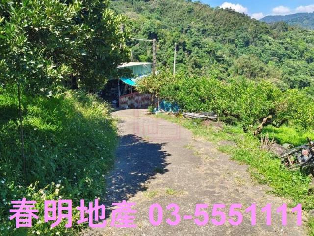 橫山農地-5