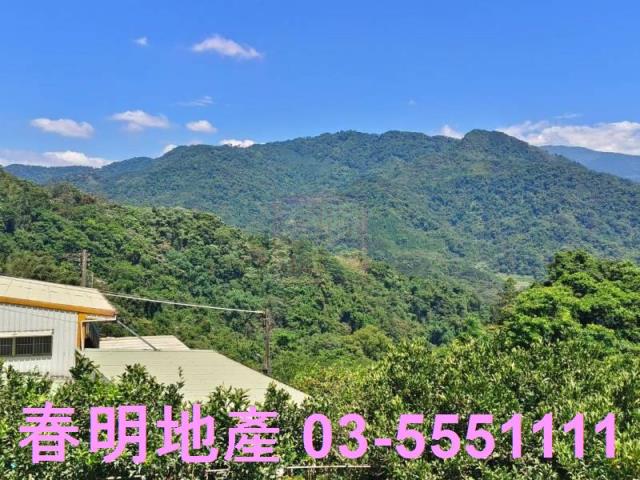 橫山農地-8