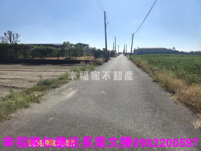 安定農地-9