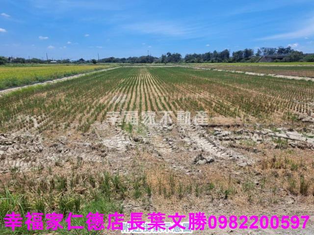 官田農地-16
