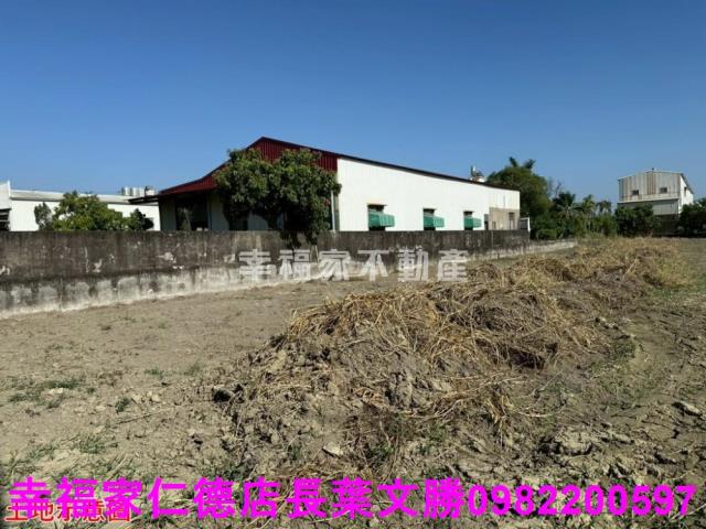 仁德農地-2