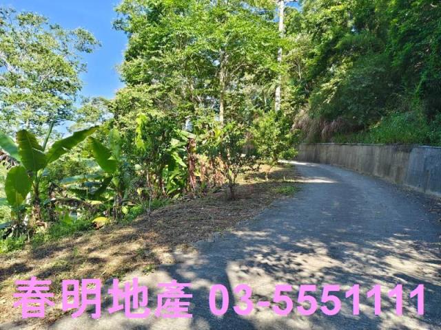 北埔農地-10