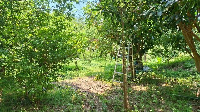 峨眉休閒地-6