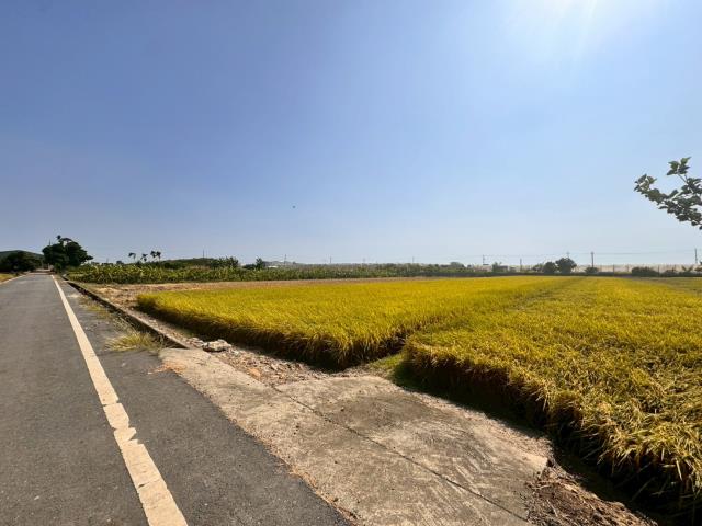 嘉義農地-12