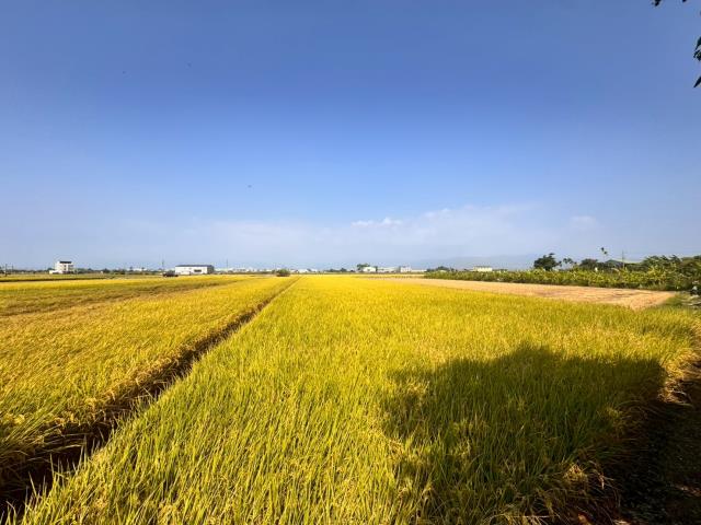 嘉義農地-6