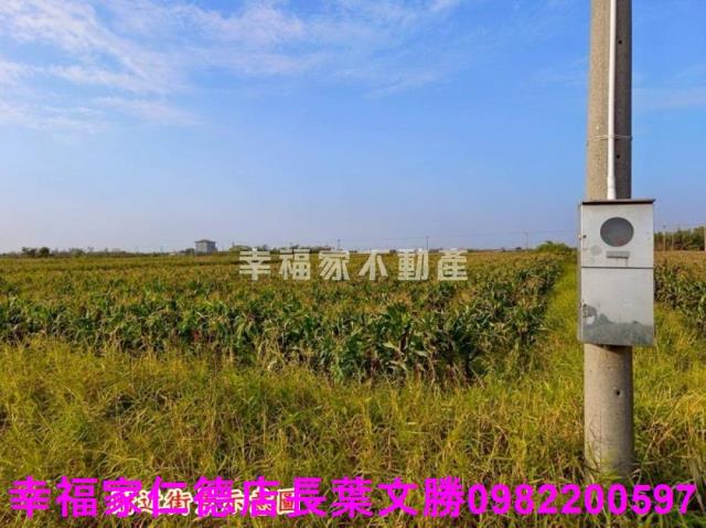 台南農地-2