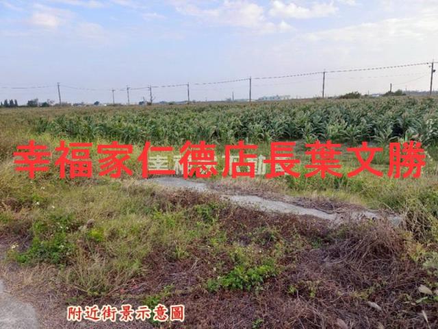 台南農地-12