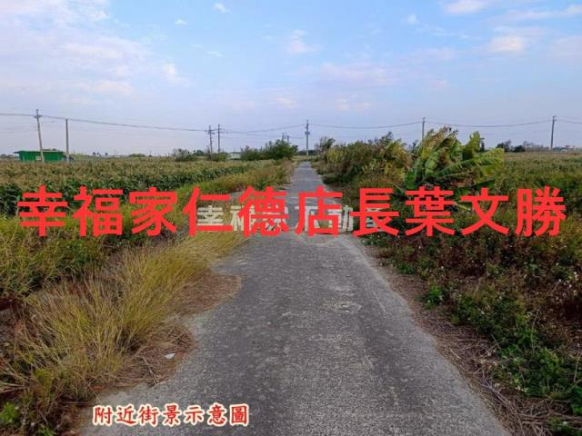 台南農地-6