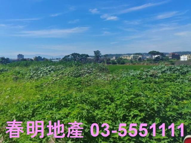 新竹新豐農地-5