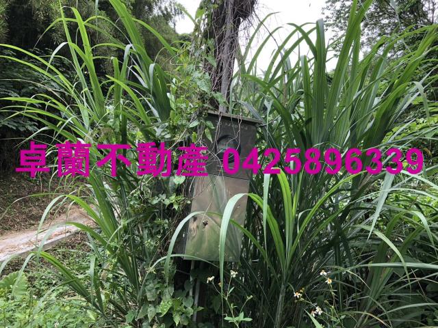 苗栗卓蘭農地-1