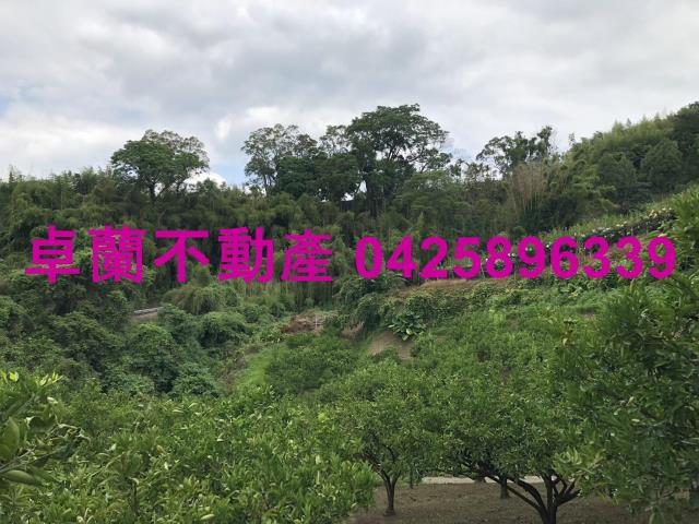 苗栗卓蘭農地-4