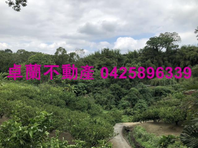苗栗卓蘭農地-5