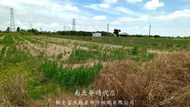 台南新營農地-9