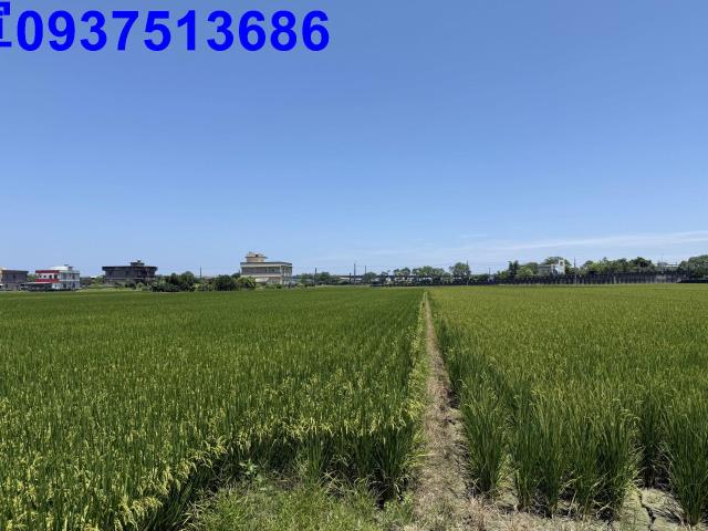 宜蘭礁溪農地-12