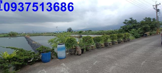 宜蘭礁溪農地-1