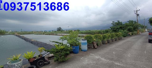 宜蘭礁溪農地-3