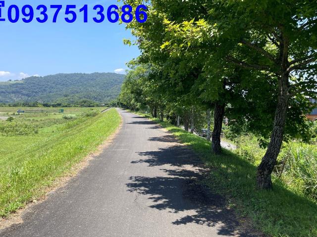 宜蘭冬山農地-14