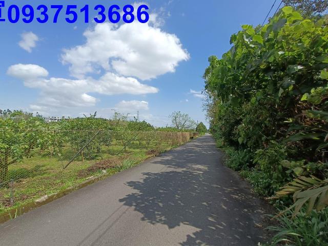 員山農地-2
