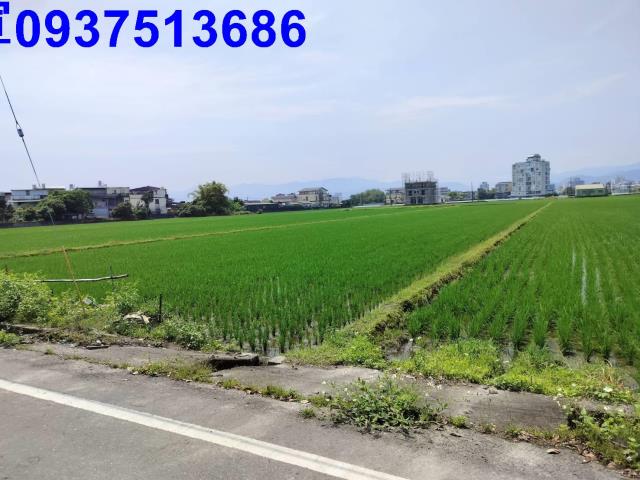 員山農地-1