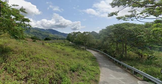 延平農地-4