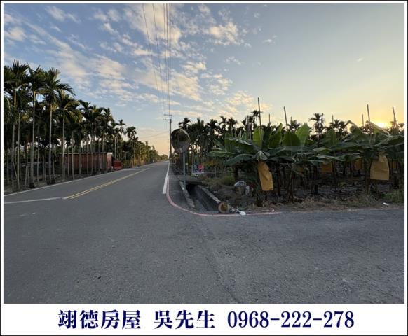 高樹農地-2