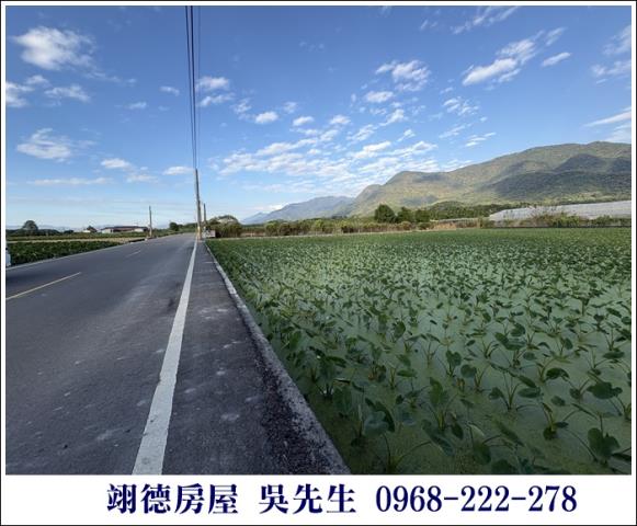 高樹農地-3